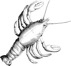 images5