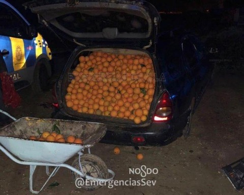 Lz0MAnovivp