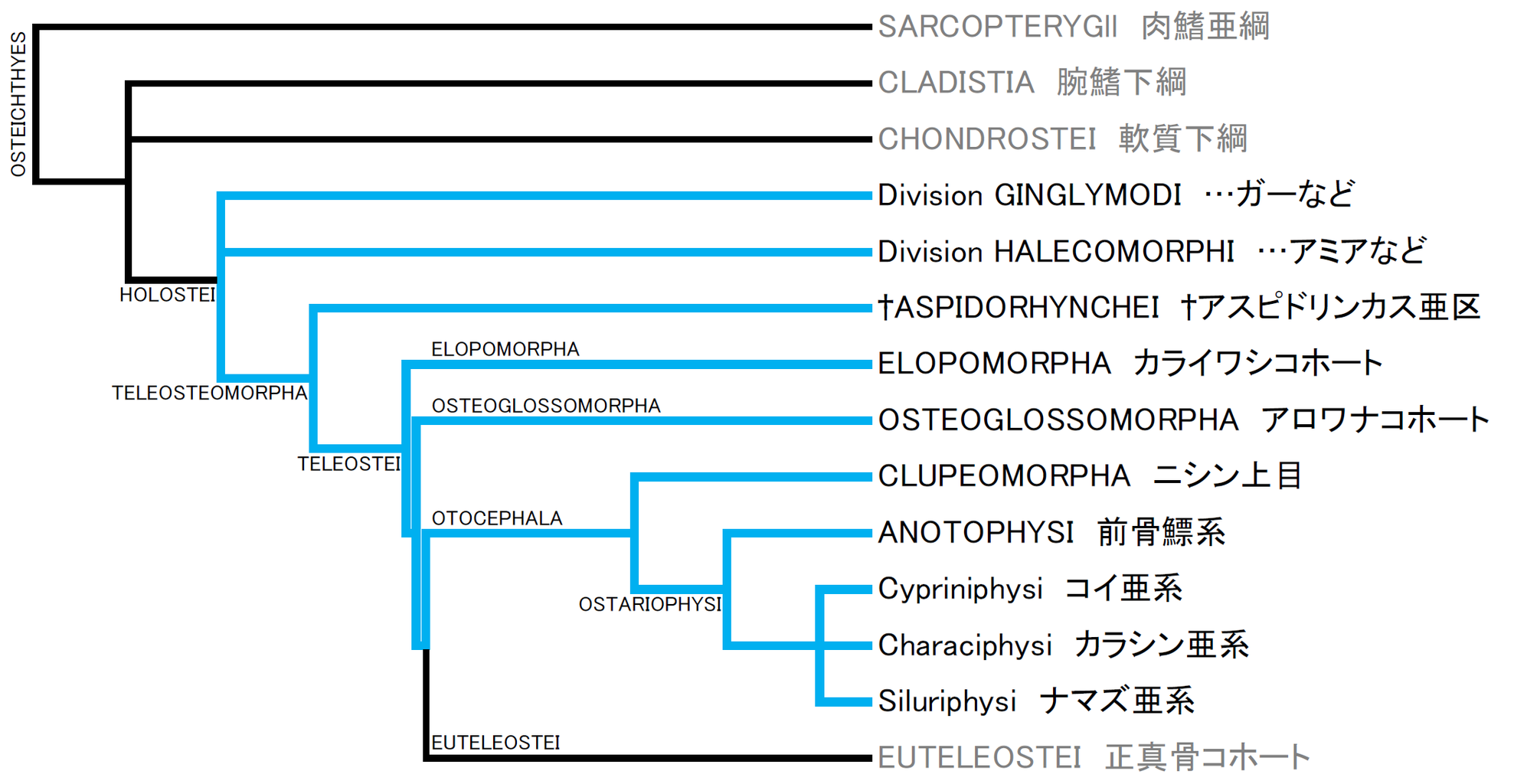 Fishes Of The World Fifth Edition の目次だけ見る その4 たけろぐ