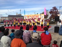 20121111 008