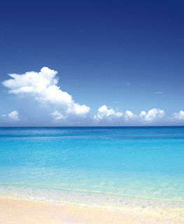 photo_main