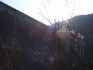 90961d09.jpg