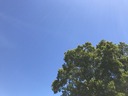 ¾®Ã®¤¬¤é¤¹»Ô2018-57