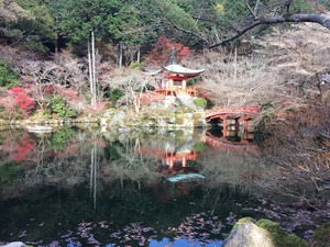 ¼Ì¿¿ 2016-12-07 14 11 43