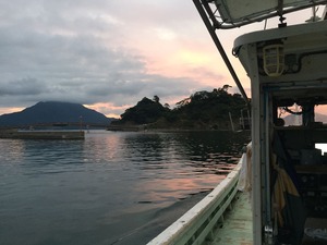 IMG_0349