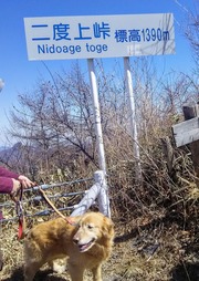 IMG_20180330_133749