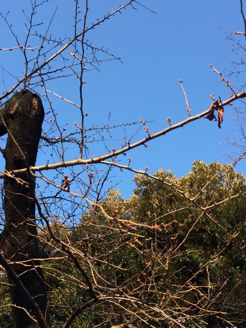 2015-03-04-16-19-16