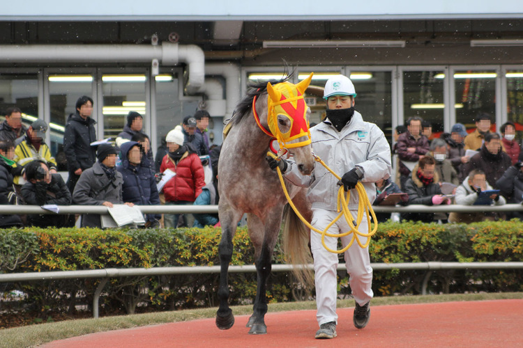 ashige002