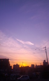 d52d72f1.jpg