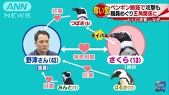 penguinlove-1-600x339