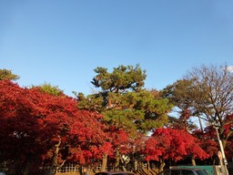 P1080907