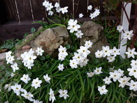 20150329_161739