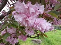 20150416_142529