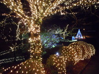 DSCN0076