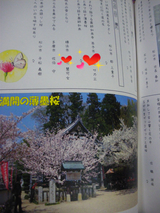 IMGP2328.JPG
