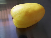 DSCF3235