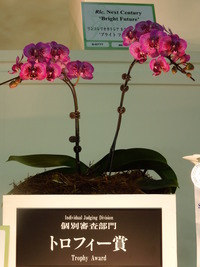 DSCN4668