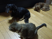 DSCN2315