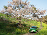 DSCF1460