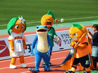 DSCF7069