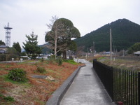 IMGP1369