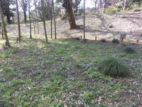20160329_140103