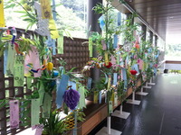 PIC000952