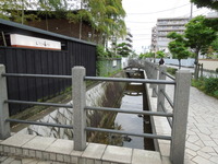 DSCN8941