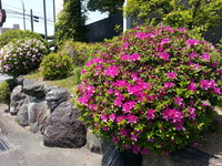 20160420_121815