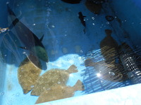 DSCN0812