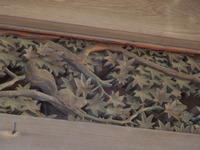 DSCN0608