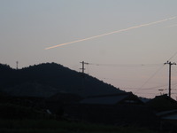 IMG_4545