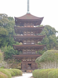 DSCN5886