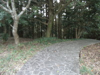 RIMG0633