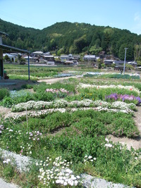 RIMG0069