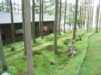 RIMG0686