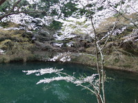 DSCF1359