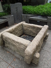 DSCN0486