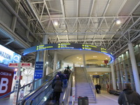 IMG_7037