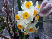 20150214_170606