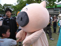 RIMG0118