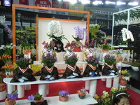RIMG0992