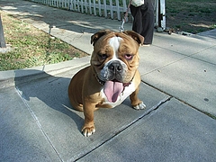 RIMG0233