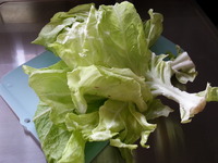20150416_085121