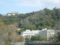 DSCN4227