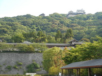 DSCN1246