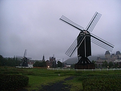 RIMG0842