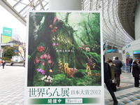 DSCN4654