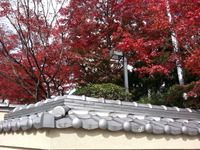 20141128_125915