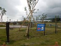 DSCN0224